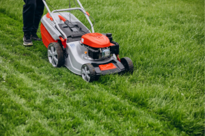 Lawn Equipment