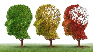 Frequent Memory Lapses - Track Changes and Seek Evaluation