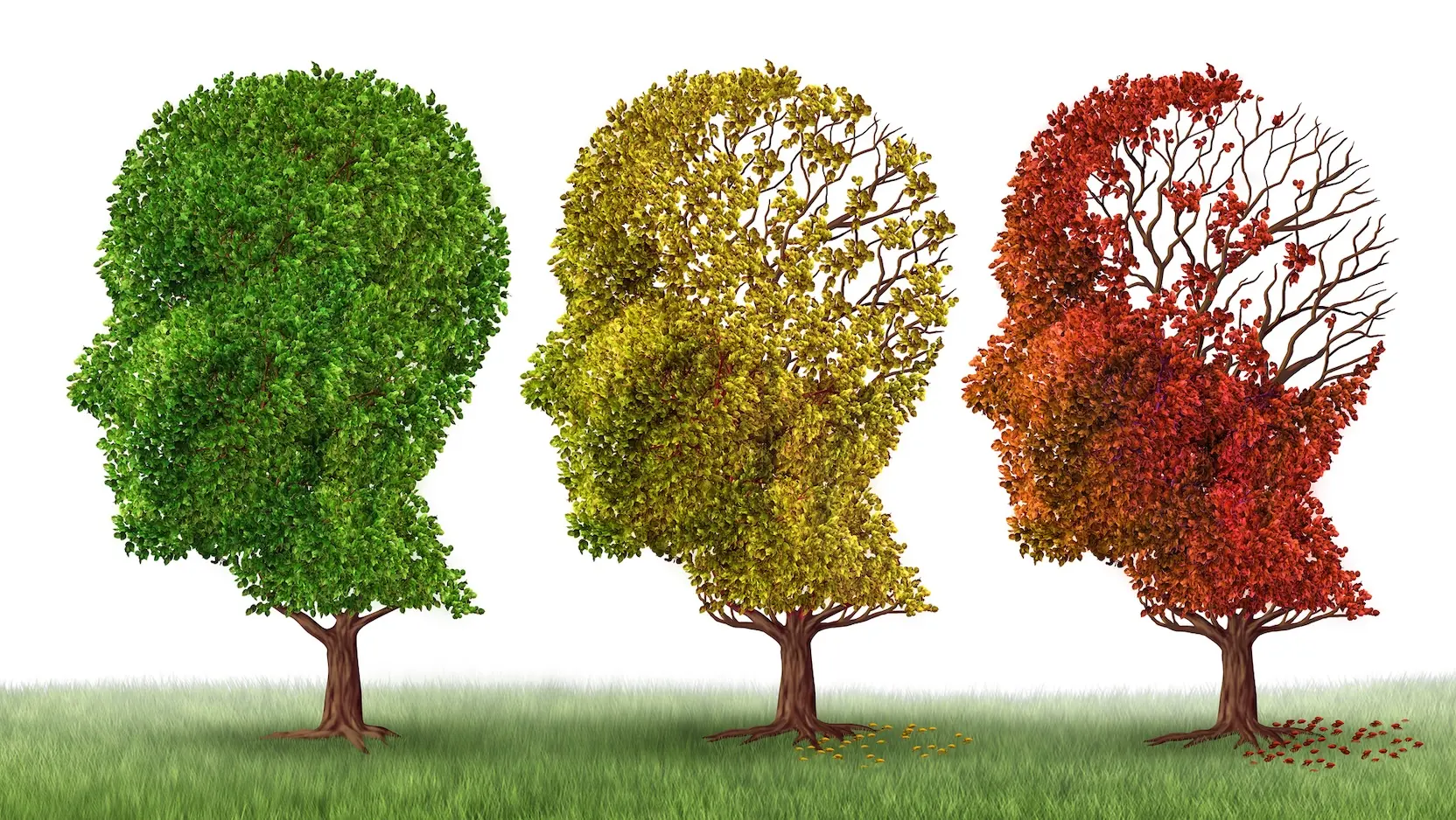 Frequent Memory Lapses - Track Changes and Seek Evaluation